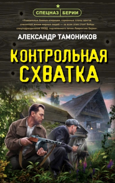 Аудиокнига Контрольная схватка
